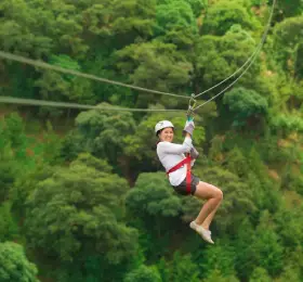 3 Days 2 Nights Wayanad B...